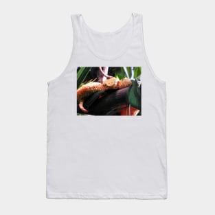 Eyelash Viper Tank Top